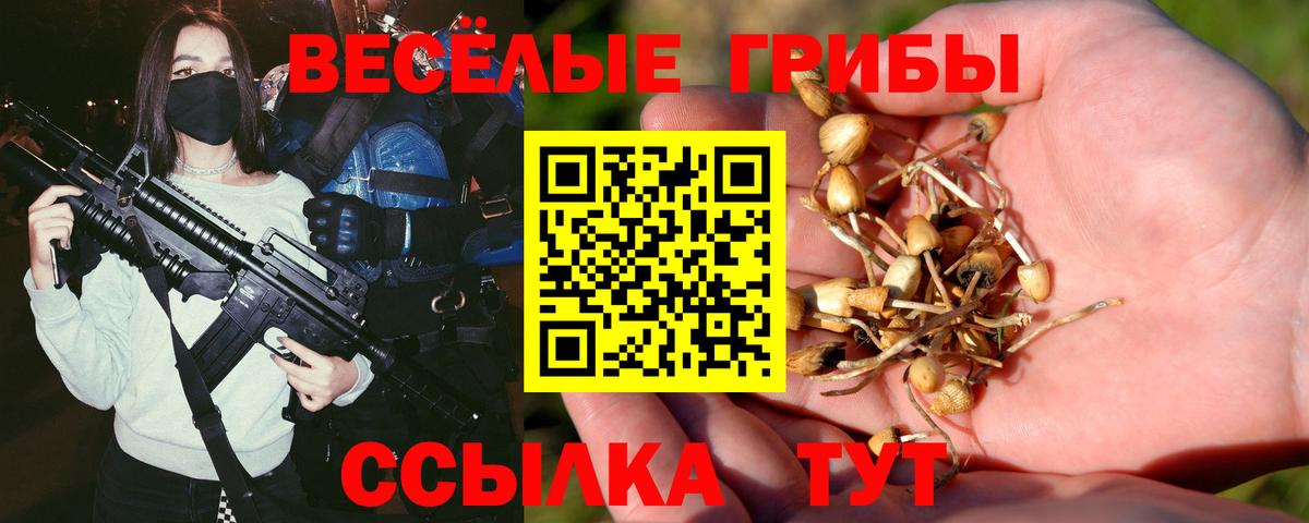 Самара  Галлюциногенные грибы GOLDEN TEACHER  Вход с VPN  наркошоп  Псилоцибиновые грибы Psilocybine cubensis 